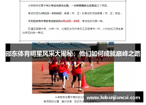 邵东体育明星风采大揭秘：他们如何成就巅峰之路